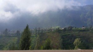IMG_20160316_081710