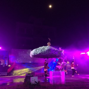 IMG_3388